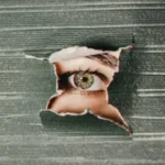 El arte de observar a la familia.